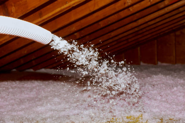 Best Residential Insulation in Paradise Valley, AZ