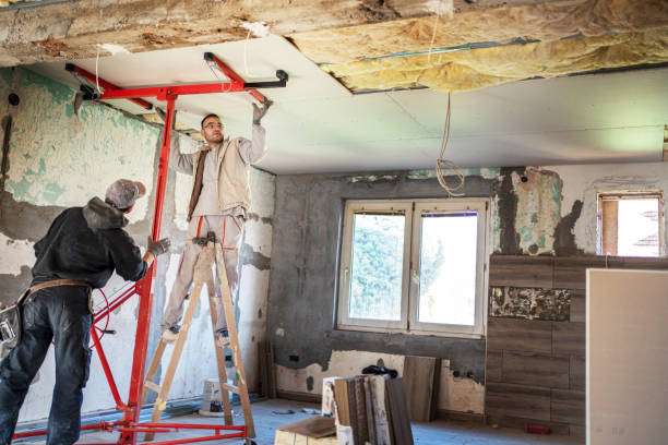 Best Specialized Insulation Services in Paradise Valley, AZ