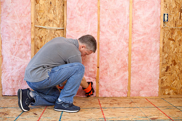 Best Insulation for Specific Applications in Paradise Valley, AZ
