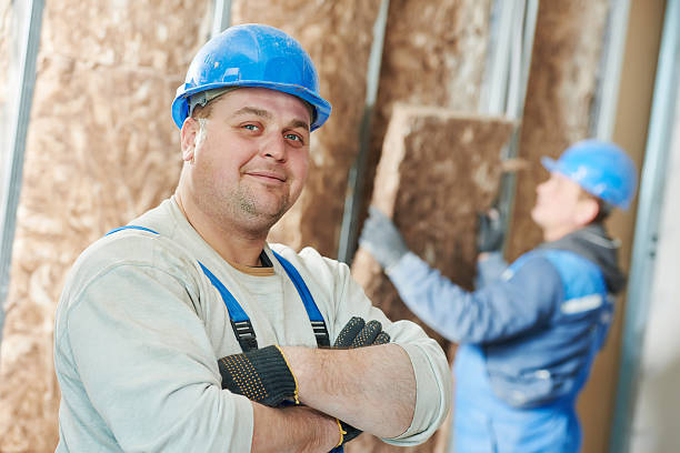 Best Cellulose Insulation in Paradise Valley, AZ